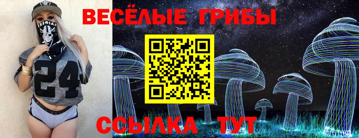 Псилоцибиновые грибы Psilocybine cubensis Ишим