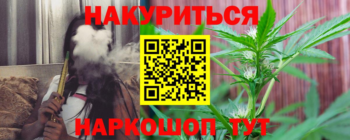 Конопля сатива Ишим